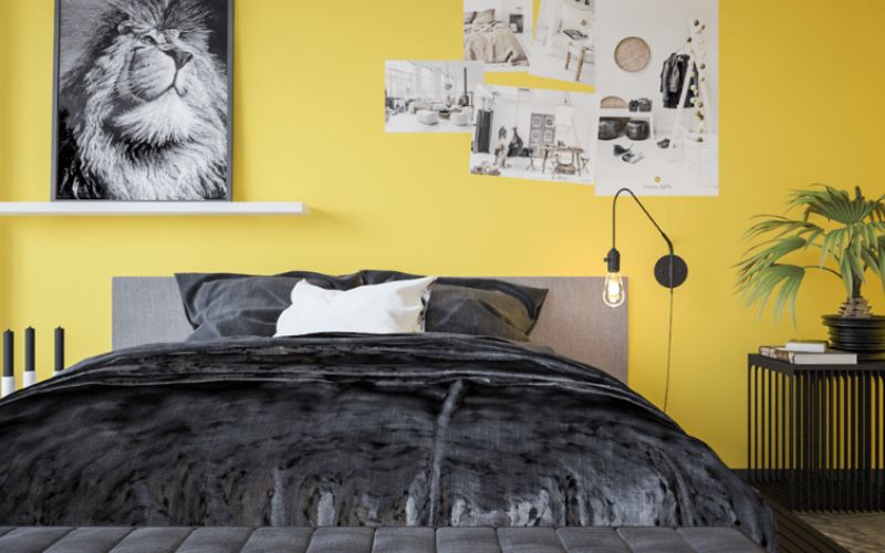 Thiết kế phòng ngủ sơn màu vàng và nội thất màu đen cho bé gái cá tính Thiết kế phòng ngủ sơn màu vàng và nội thất màu đen cho bé gái cá tính