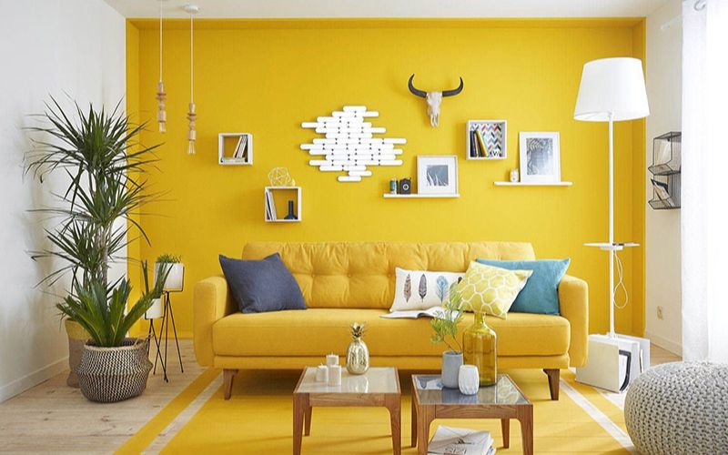 Gia chủ mệnh Thủy hạn chế sơn màu vàng ở phòng khách Gia chủ mệnh Thủy hạn chế sơn màu vàng ở phòng khách