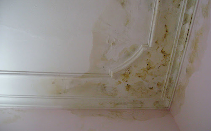 Trần thạch cao ẩm mốc và hoen ố do bị rò rỉ nước