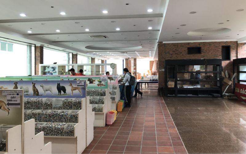 Tiến hành kiểm tra trình trạng showroom để đánh giá mức độ hư hại các hạng mục